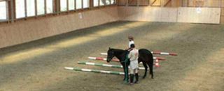 lezioni di equitazione torino Centro Ippico Enzo B.