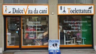 negozi per cani torino Dolce Vita da cani Torino - Alimenti per animali e Toelettatura