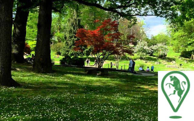 Green tourism: Parks and natural spaces to relax in Turin